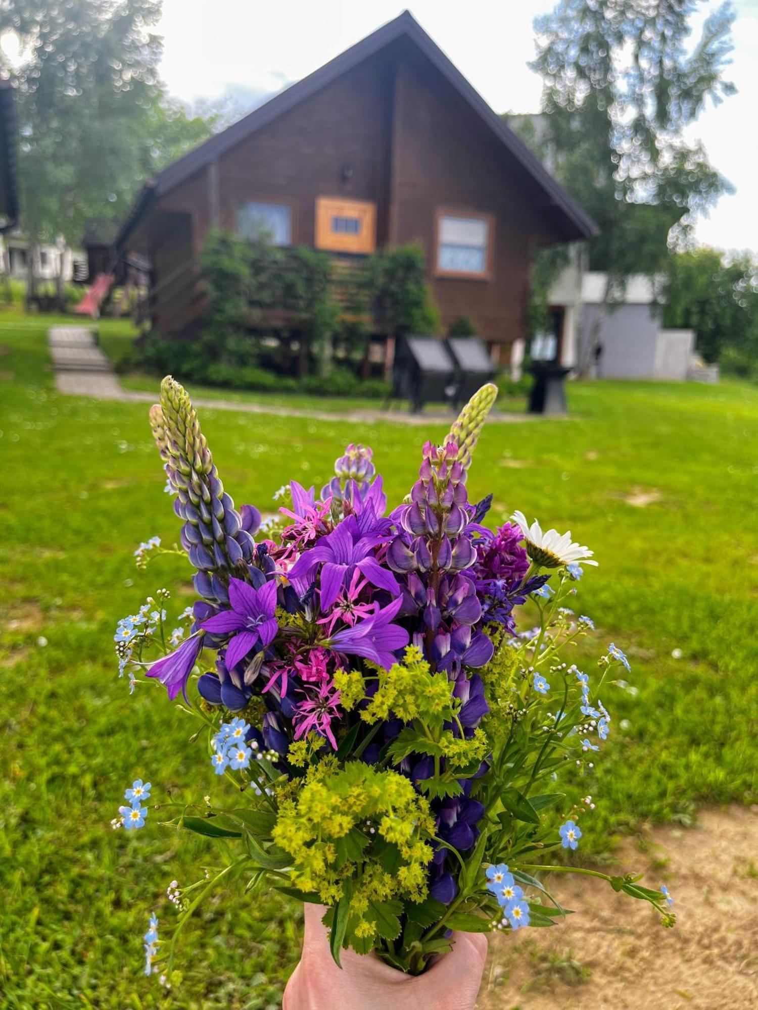 Letniskowe Widokowka Myczkow Polanczyk
